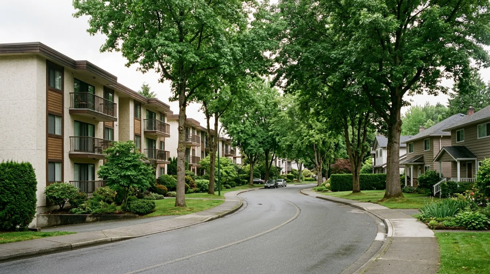 Low-rise apartment buildings and family houses on a curving street lined with mature trees