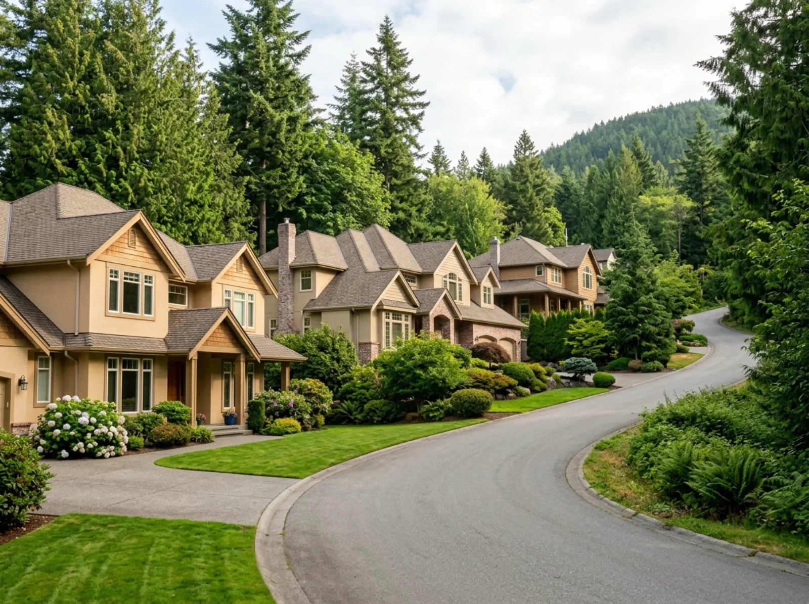 Large two-storey family houses along a curving hillside street with evergreen trees